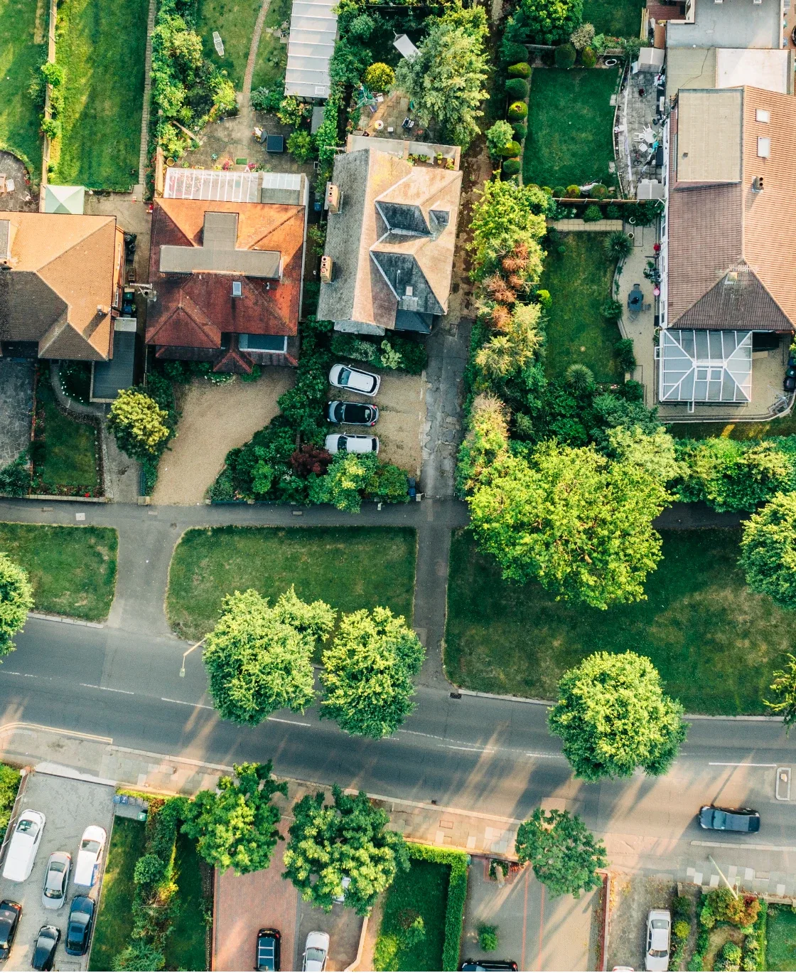 Aerial view of a tree-lined residential neighbourhood