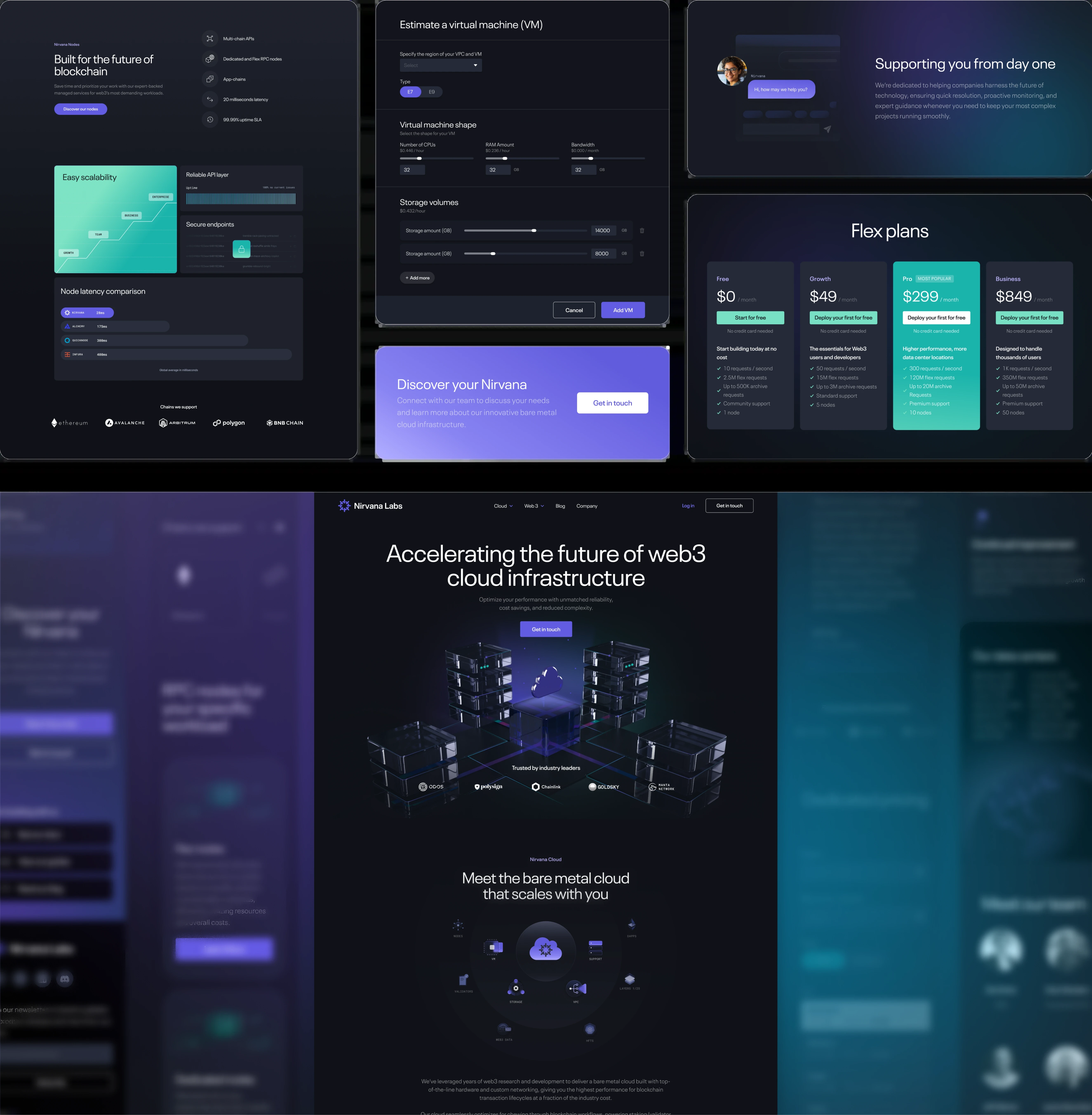 Nirvana Labs' visual desktop image of the website