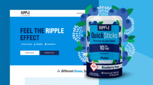 Stillwater Brands homepage_Digital Marketing Client