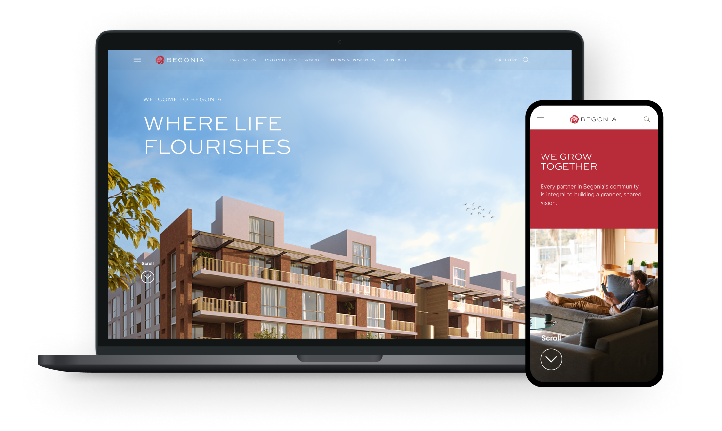 Begonia Featured